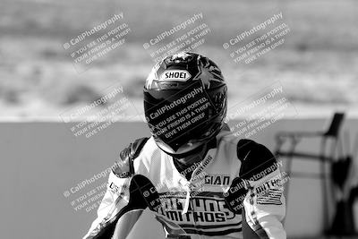 media/Mar-24-2023-Apex Assassins (Fri) [[54485cb5ff]]/Around the Pits/